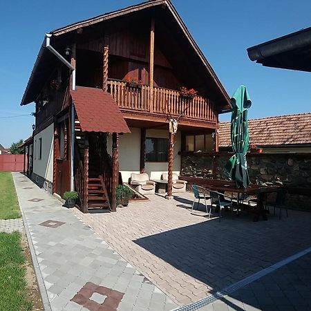Pensiunea Denis Cîrţişoara Exterior foto