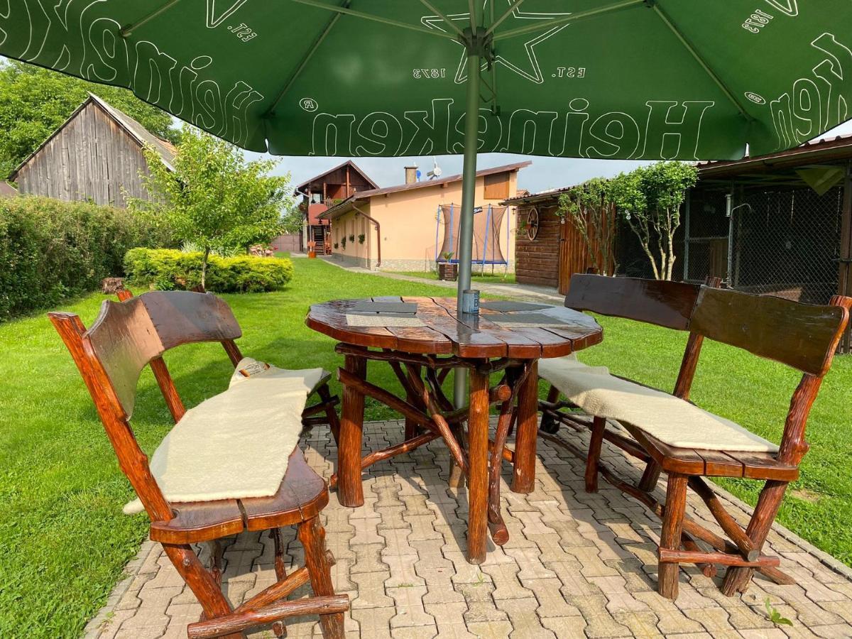 Pensiunea Denis Cîrţişoara Exterior foto