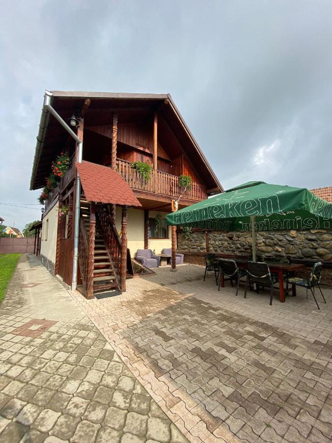 Pensiunea Denis Cîrţişoara Exterior foto