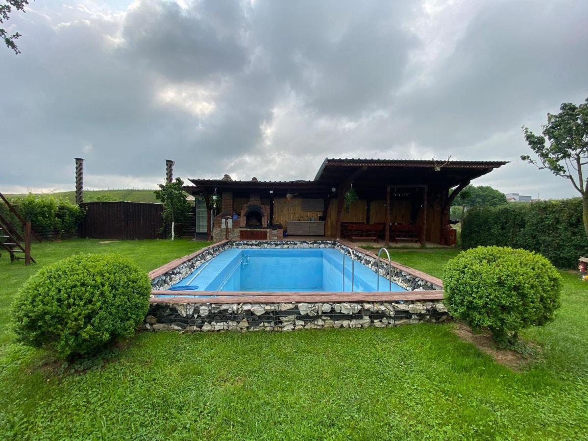 Pensiunea Denis Cîrţişoara Exterior foto