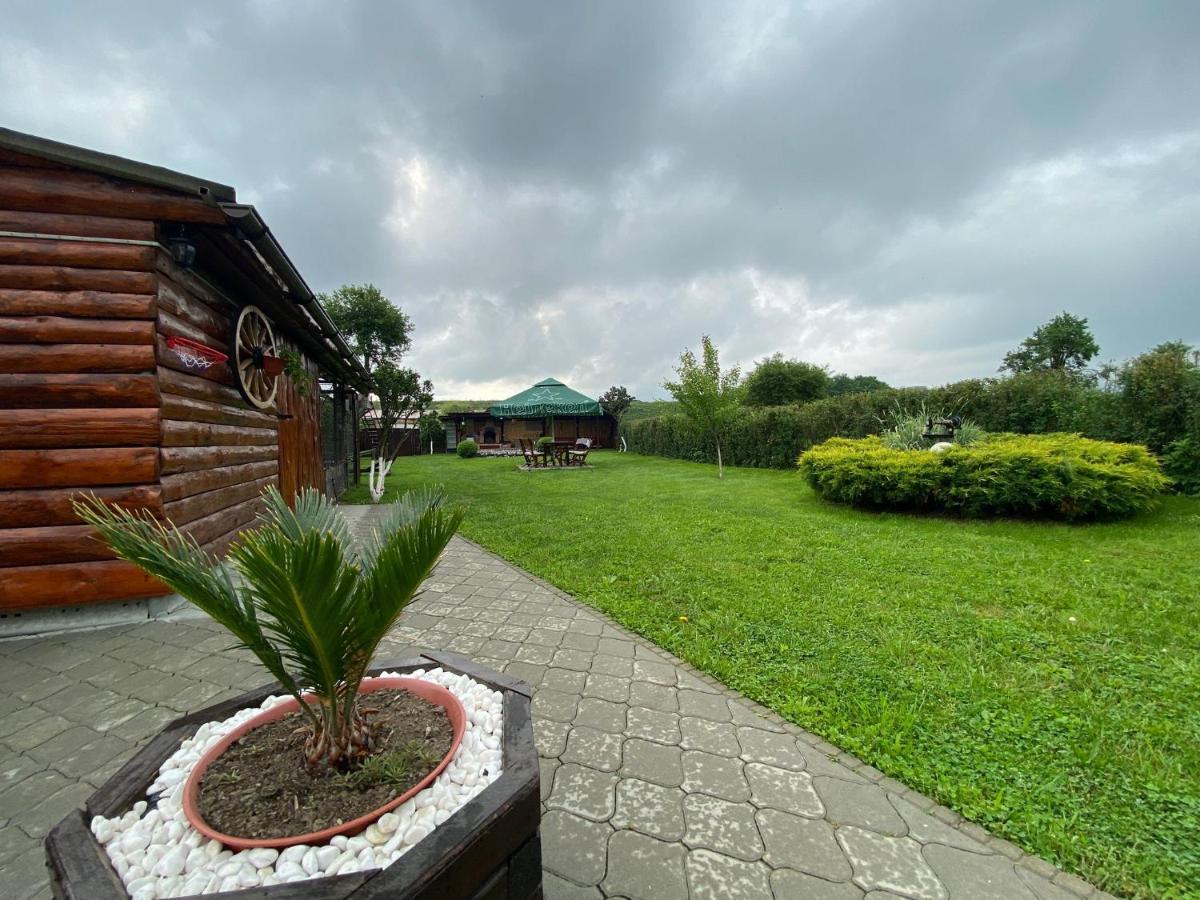 Pensiunea Denis Cîrţişoara Exterior foto