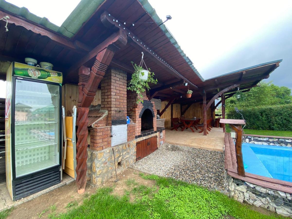 Pensiunea Denis Cîrţişoara Exterior foto