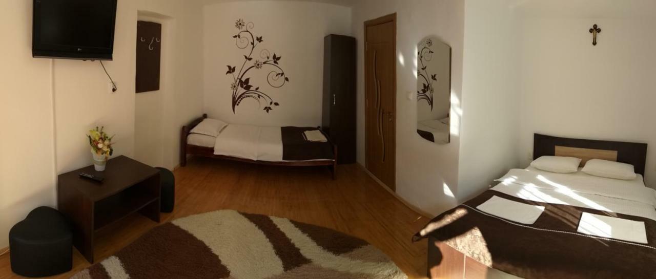 Pensiunea Denis Cîrţişoara Exterior foto
